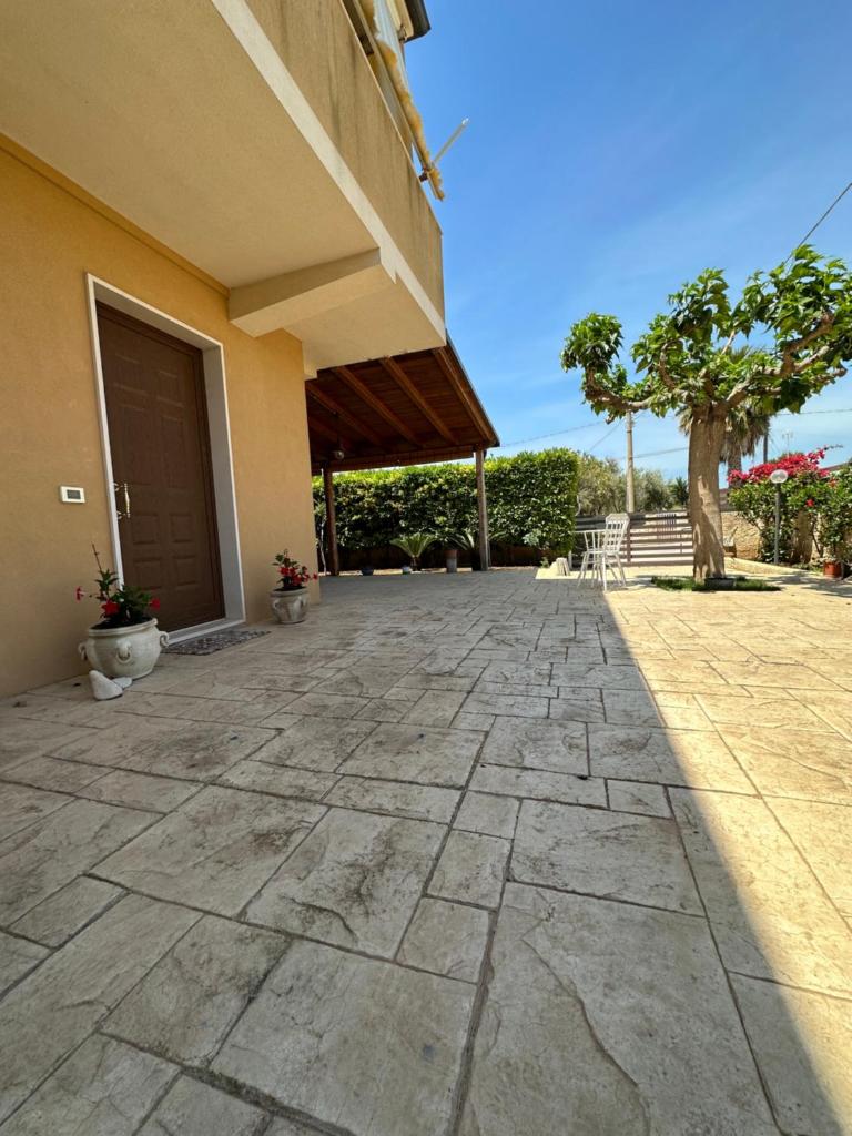 Grazy House