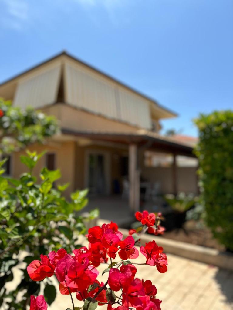 Grazy House photo 3