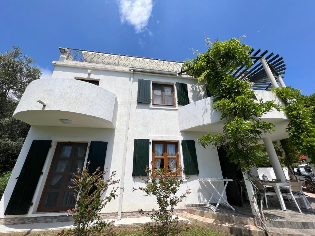 Green Villa in Olives photo 3