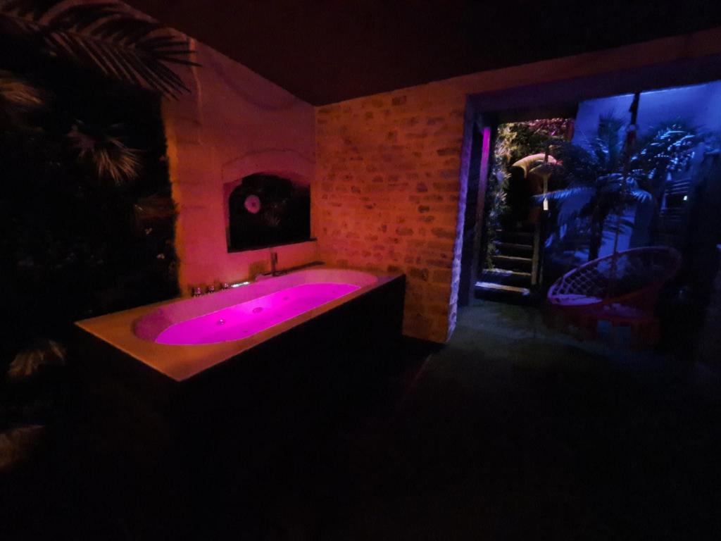 La Bayeuzen - La Tropicale - Love Room photo 2