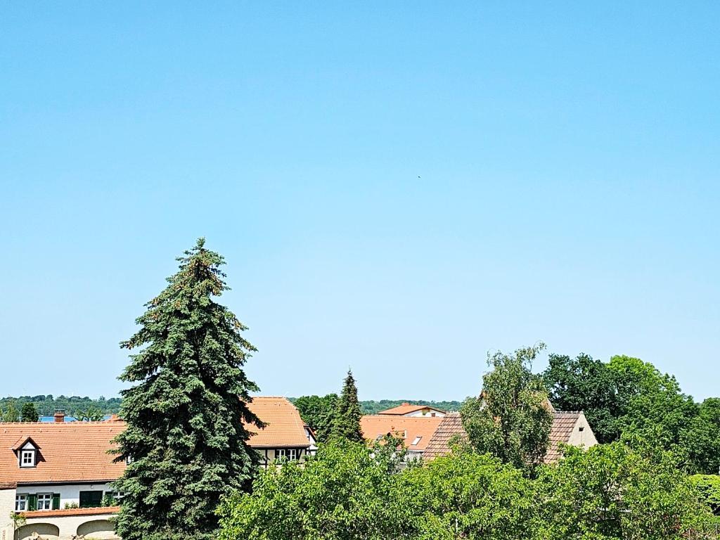 Seezeit - gemütliche Ferienwohnung, Tiefgarage, Cospudener See photo 4