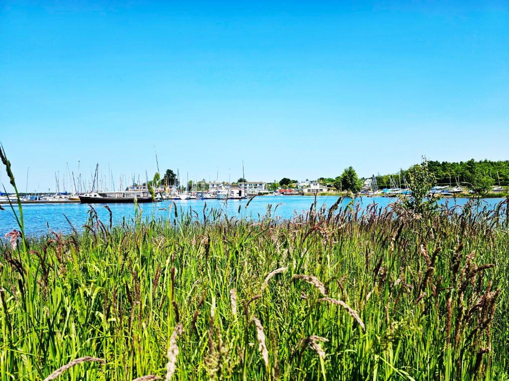 Seezeit - gemütliche Ferienwohnung, Tiefgarage, Cospudener See photo 2