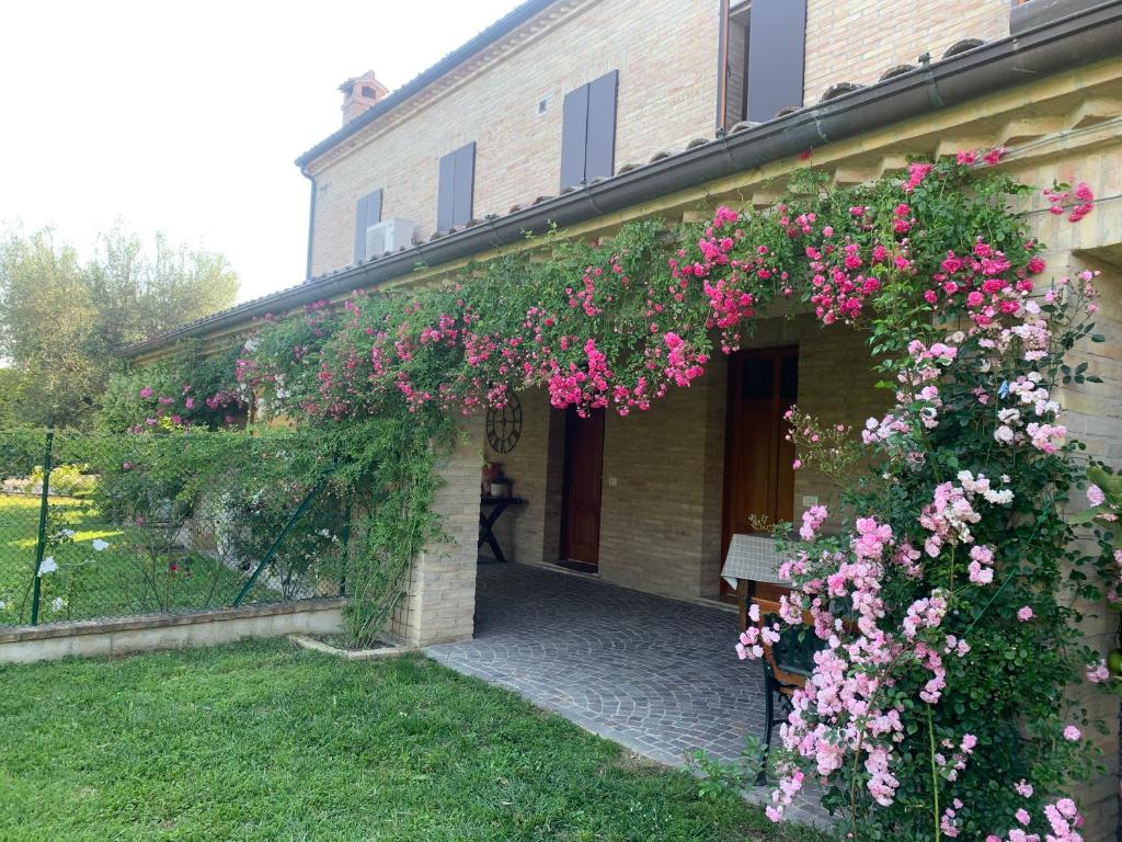 Guest House Vagamondo photo 4