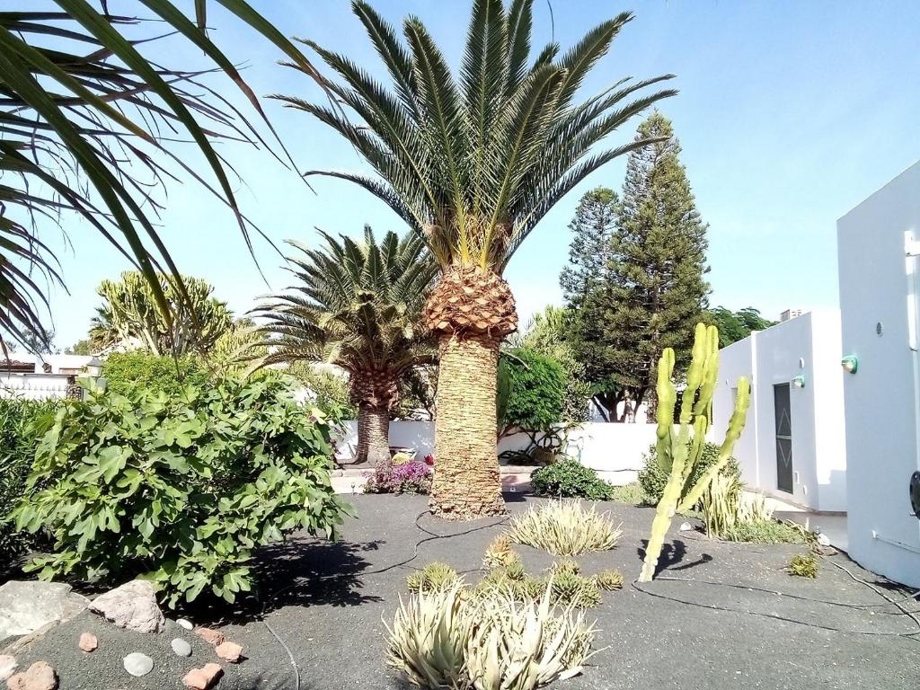 Casa Marilyn photo 4