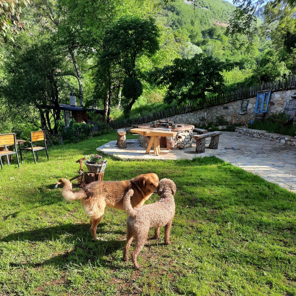 Kulla Hupi Agriturism photo 4