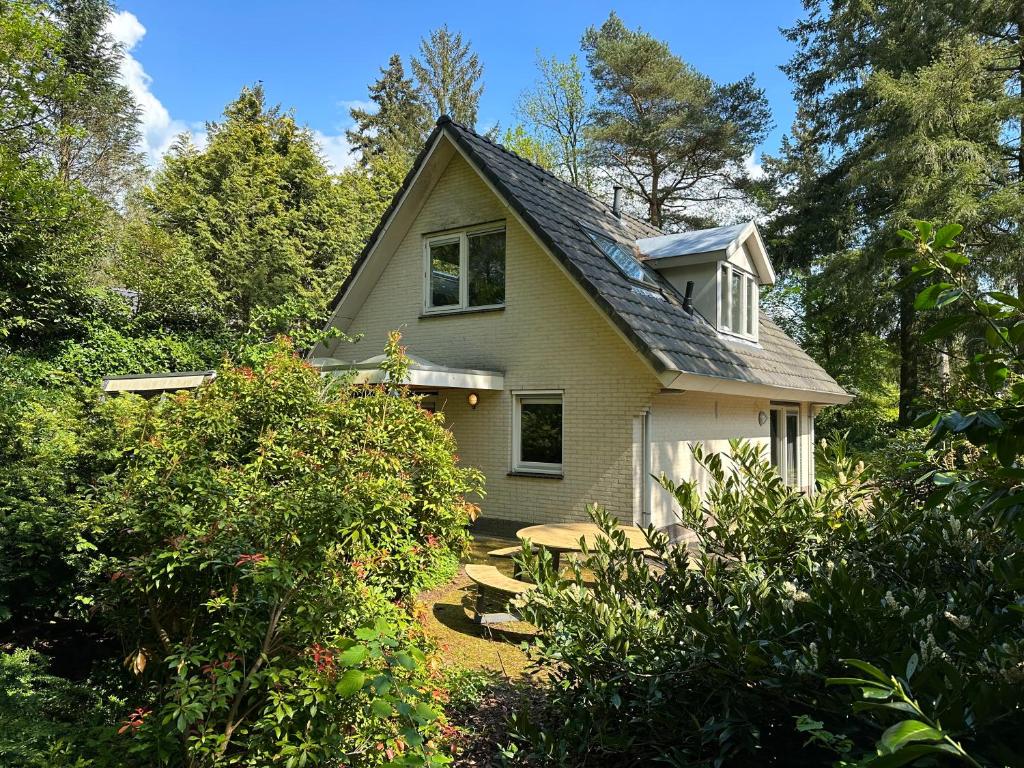 Vakantiehuis Bos en Hei Veluwe photo 3