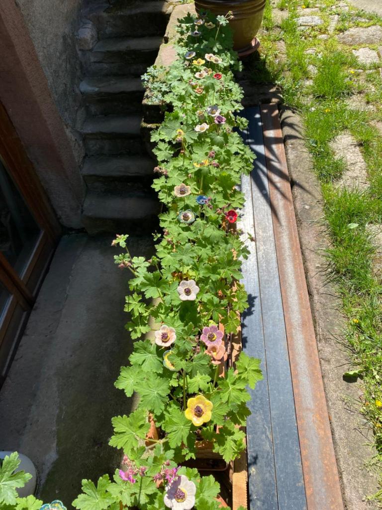 Le Cocon du Potier photo 1