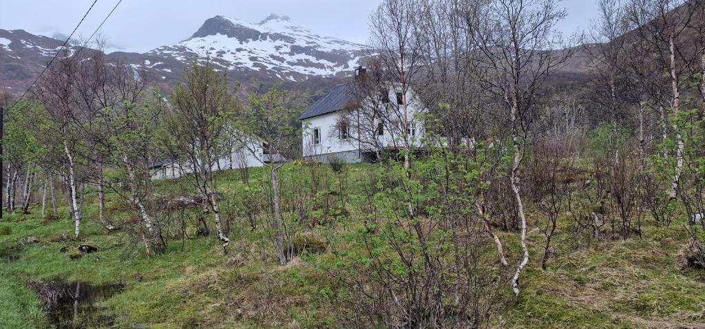 Pilan Lodge Lofoten photo 1