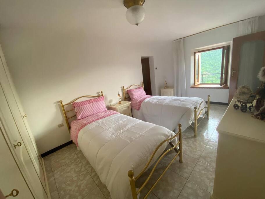 Casa vacanze il pettirosso. photo 1
