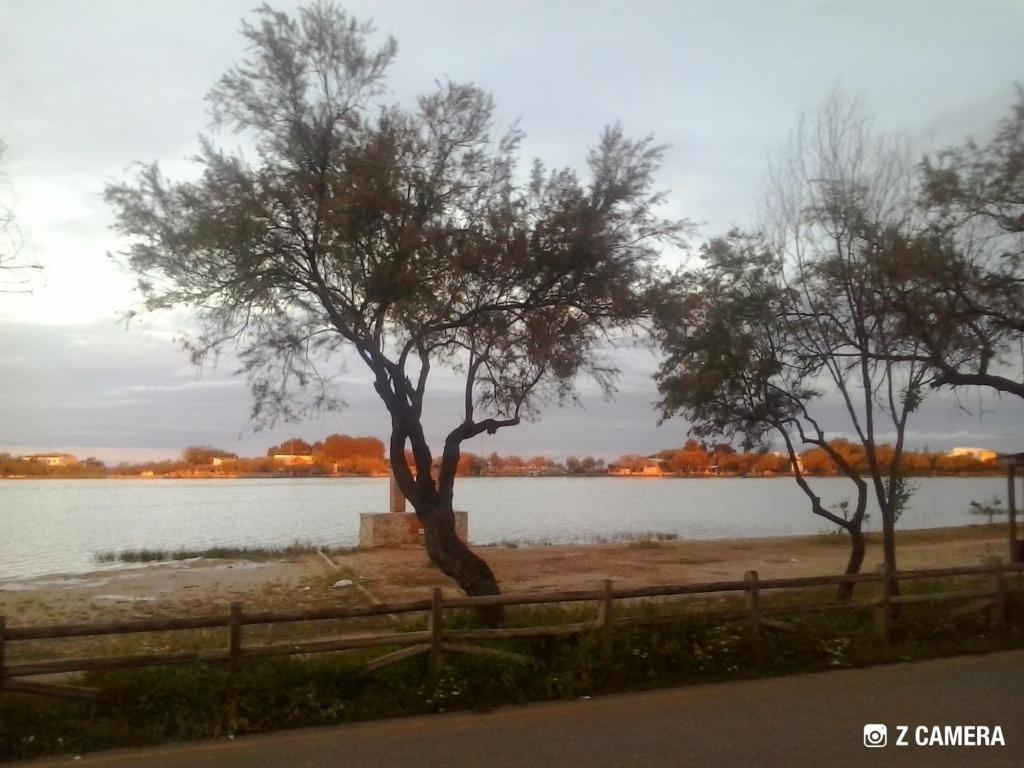 Las Banderas photo 1
