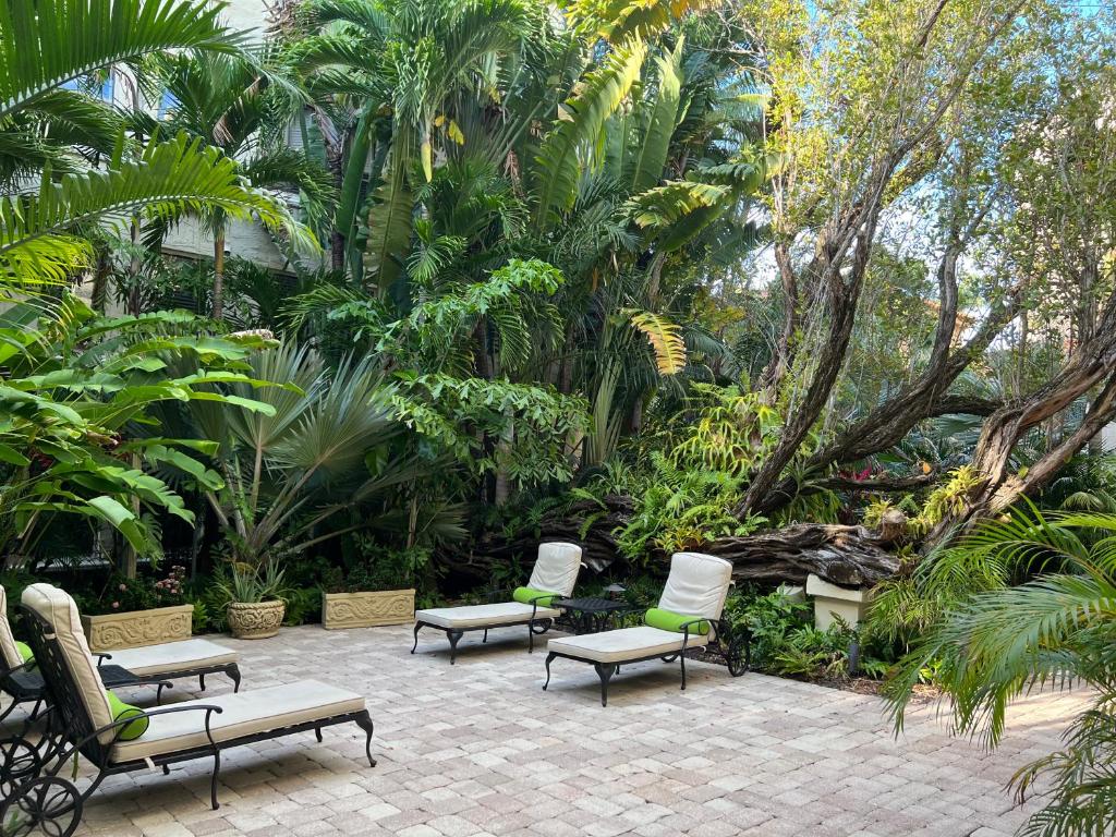 AQUA ORCHID APARTMENT - Pool - Beach - Palm Beach photo 2