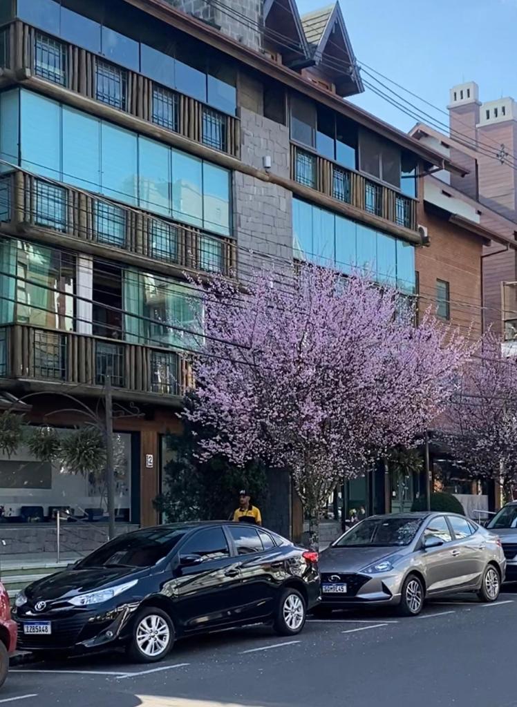 LUXUOSO APT ALMERIS PECCIN no Centro de GRAMADO