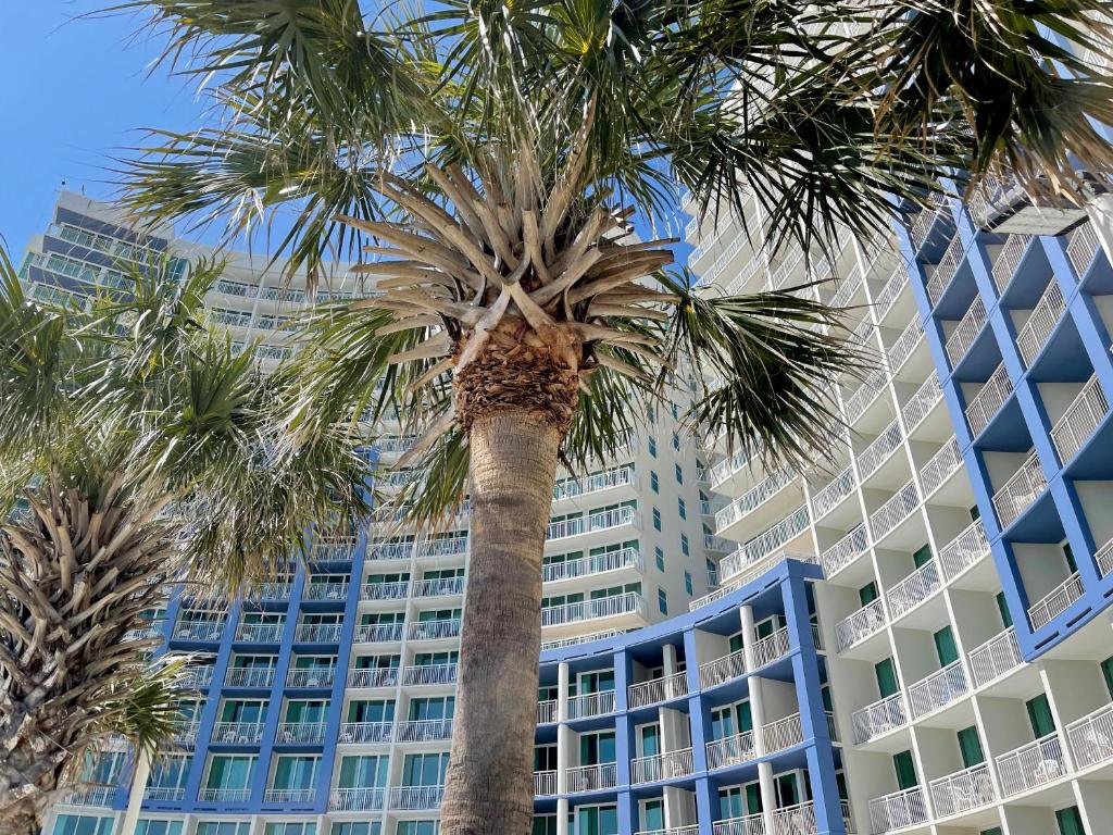 Avista Resort photo 4