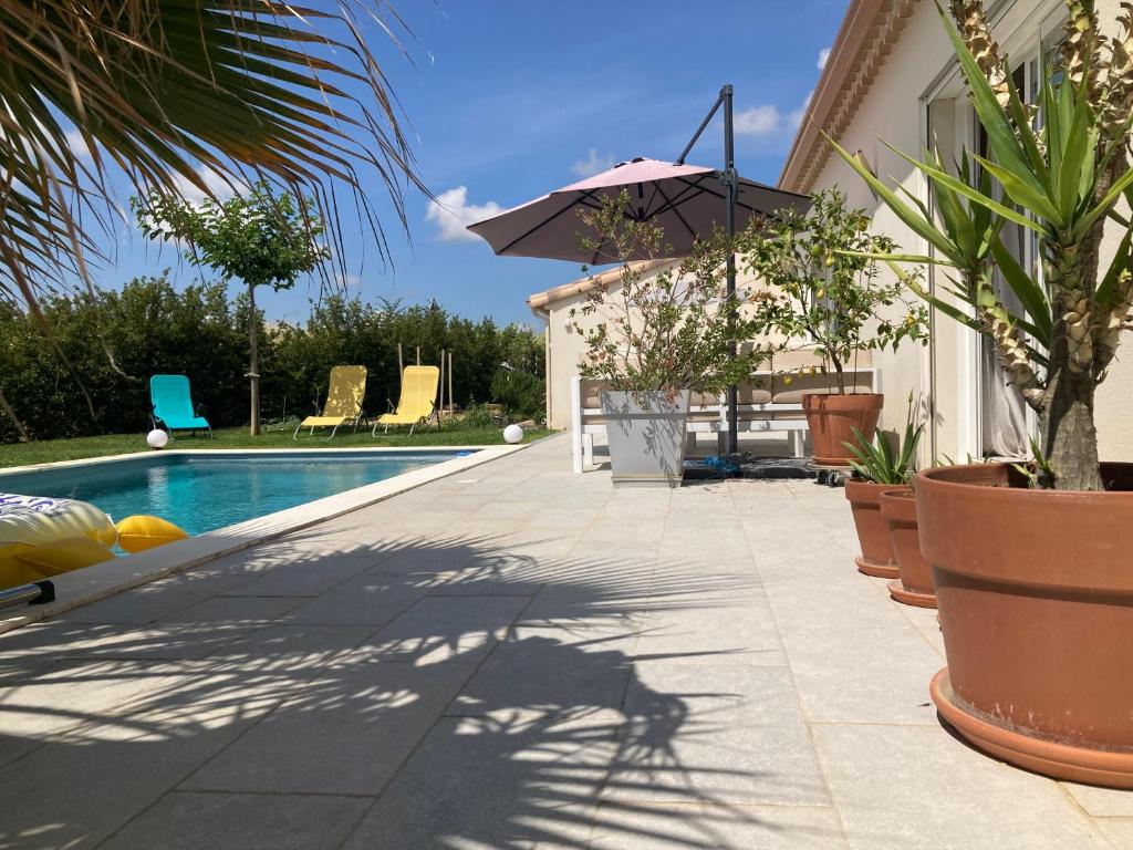 La maison aux palmiers photo 1