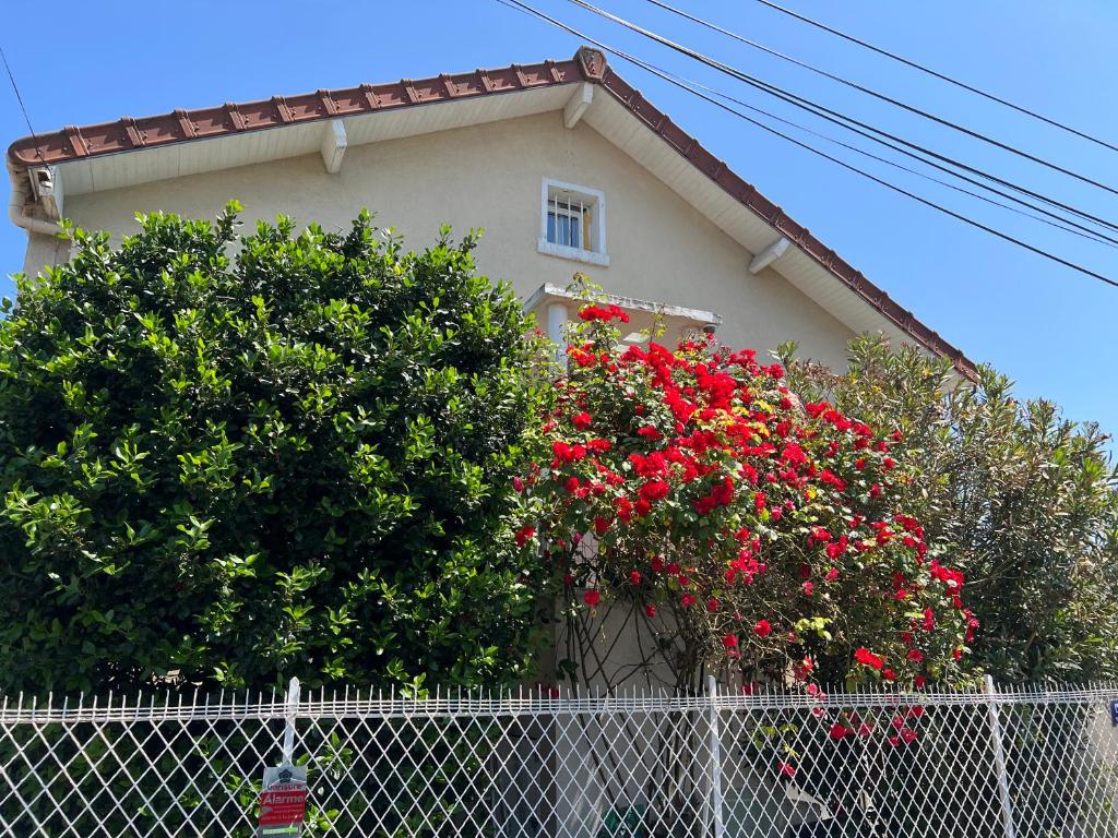 Duplex 1 photo 4