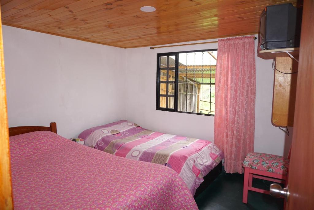 Villa Carolina photo 1