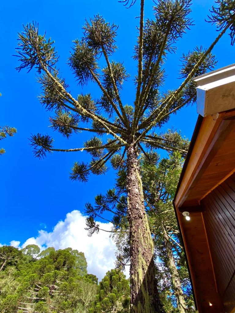 Cabanas Imbuia photo 4