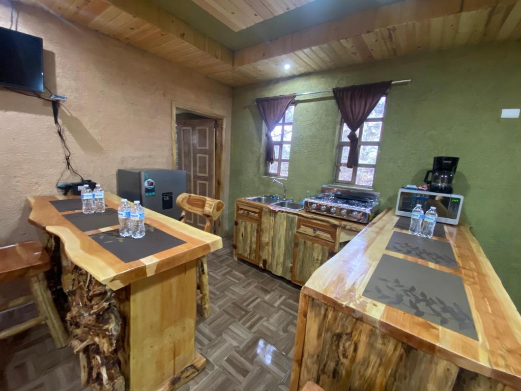Cabañas Rochivo Ranch photo 4
