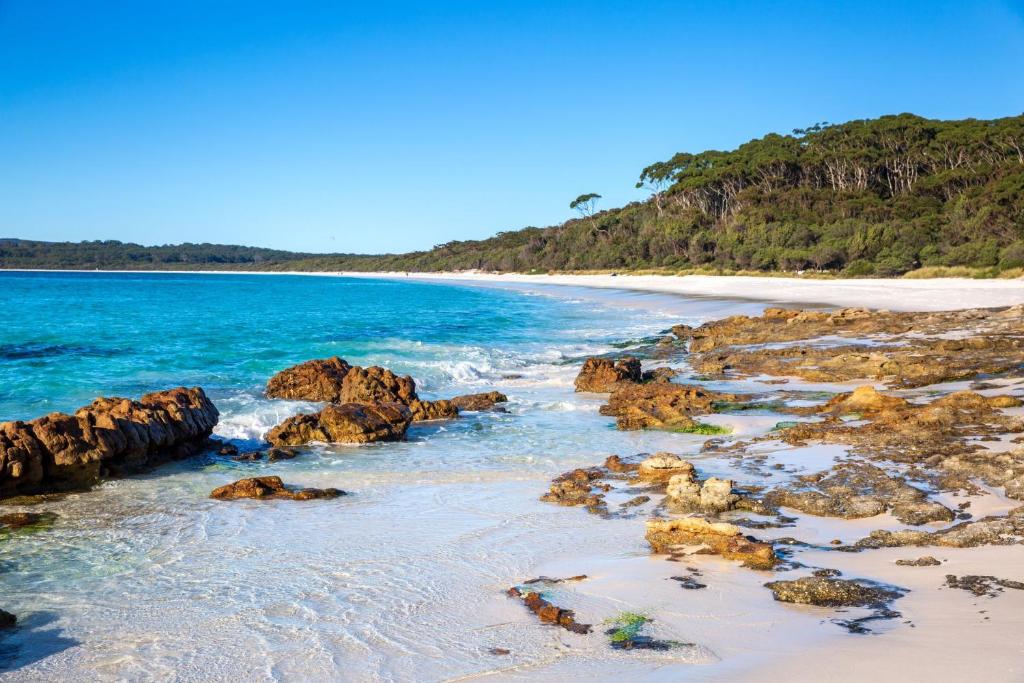 Hyams Drift by Latitude South Coast photo 3