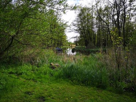 Villa Eden Peene Tiny House photo 3