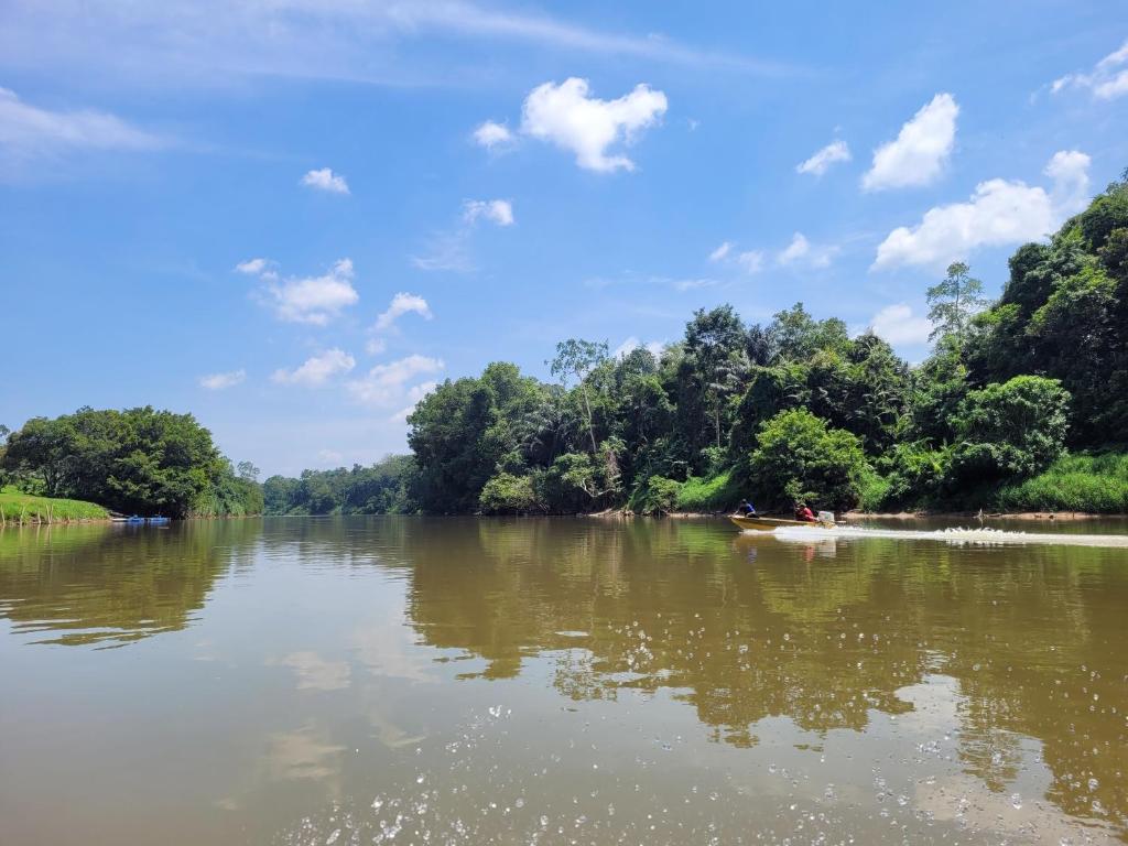 Lipis Riverfront Resort photo 2