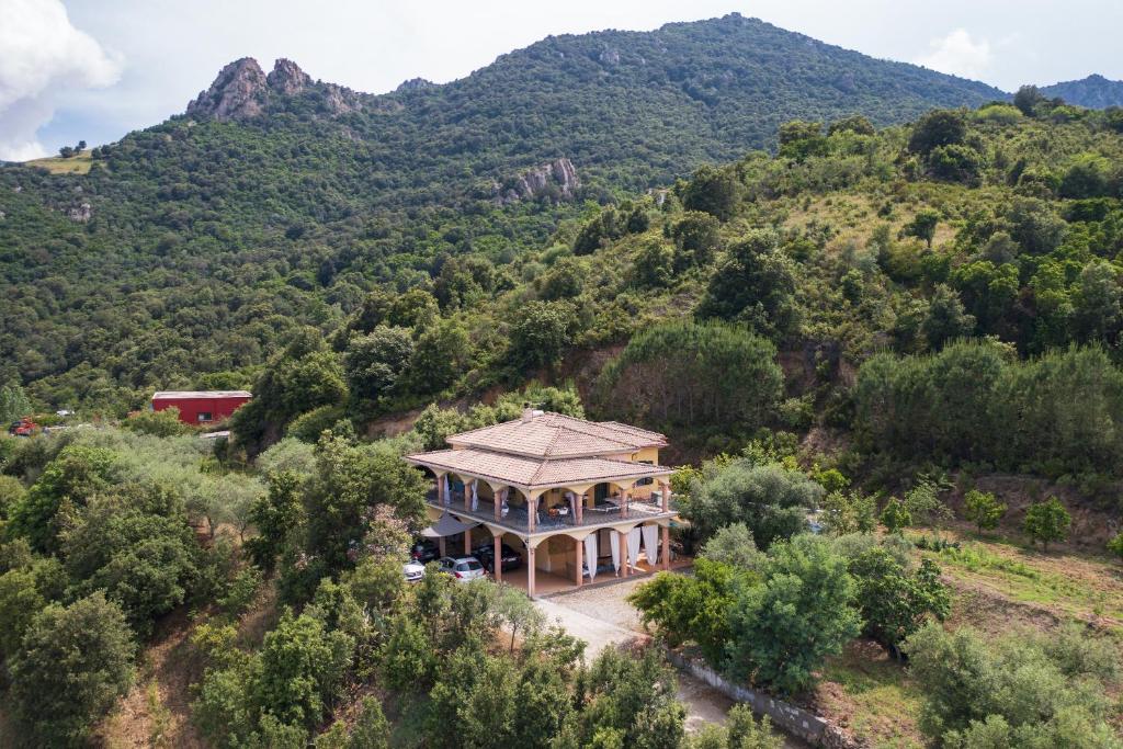 Villa Pelau photo 2