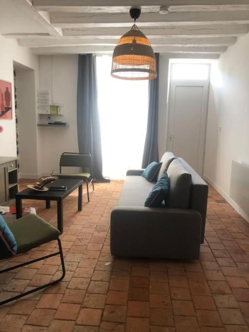 Le 20 Les Terrasses. Maison de bord de Loire photo 1