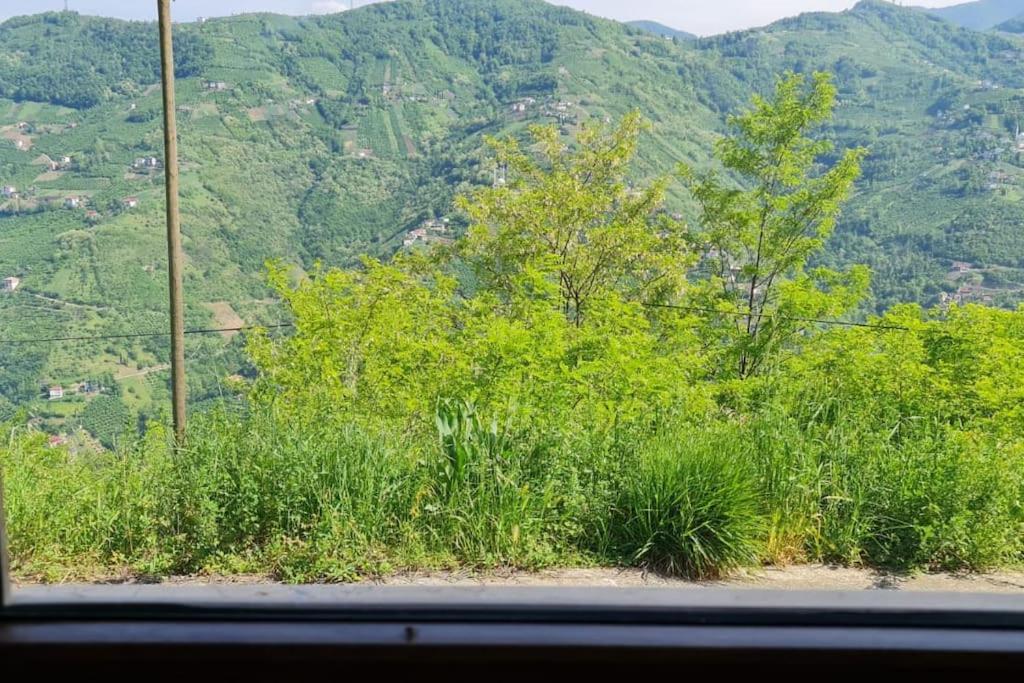 LeFKA VILLAGE HOUSE photo 4