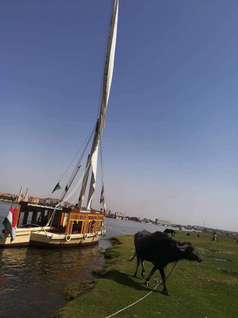 Sailing boat photo 3