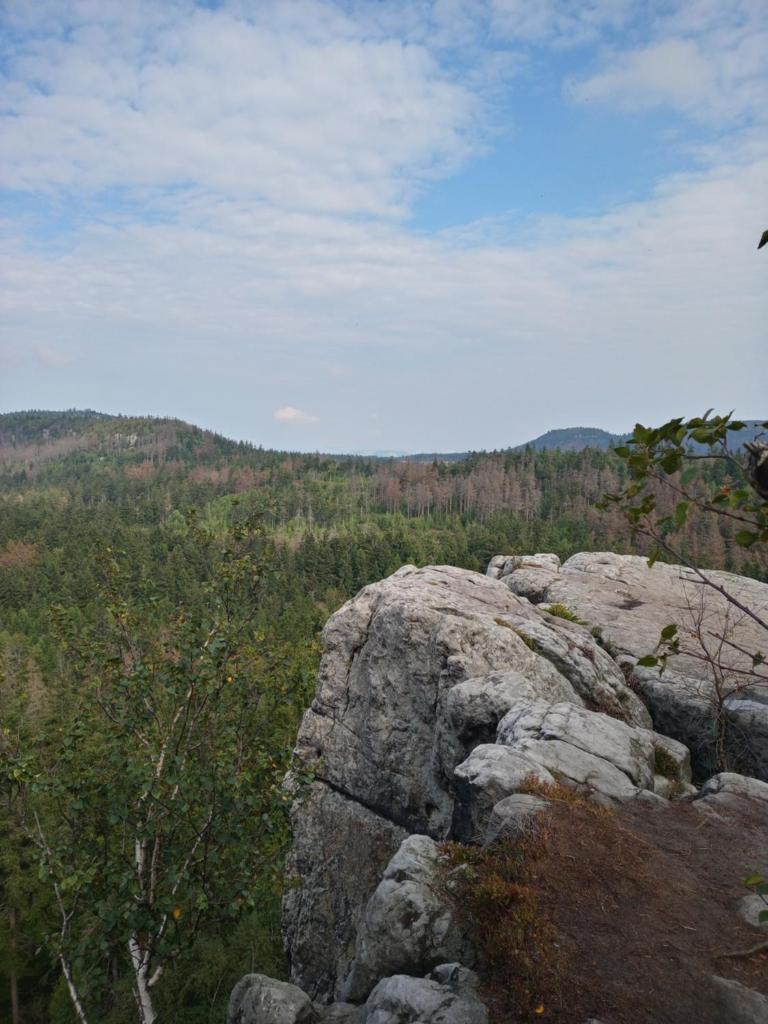 Gajówka photo 1