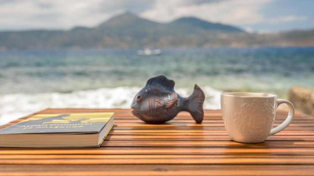 Klima On The Waterfront photo 3
