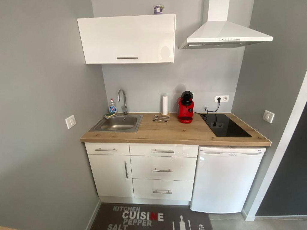 Appartement avec terrasse - La Motte-Servolex photo 4