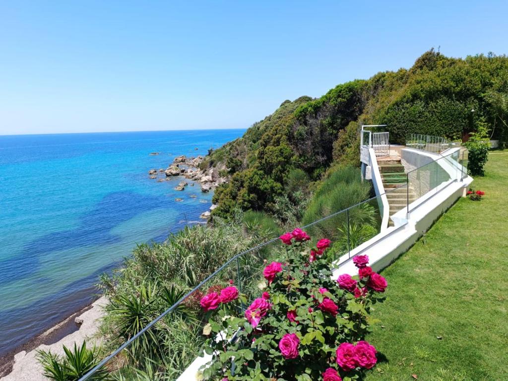 Seahorse Bay Beach Villa Halikounas photo 1