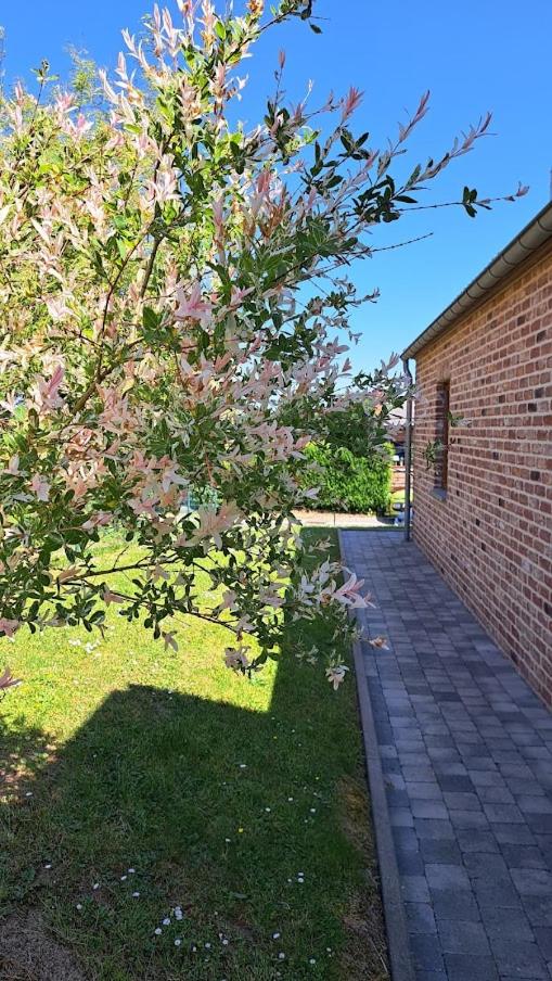 Gîte rural "L'Anseromia" photo 1