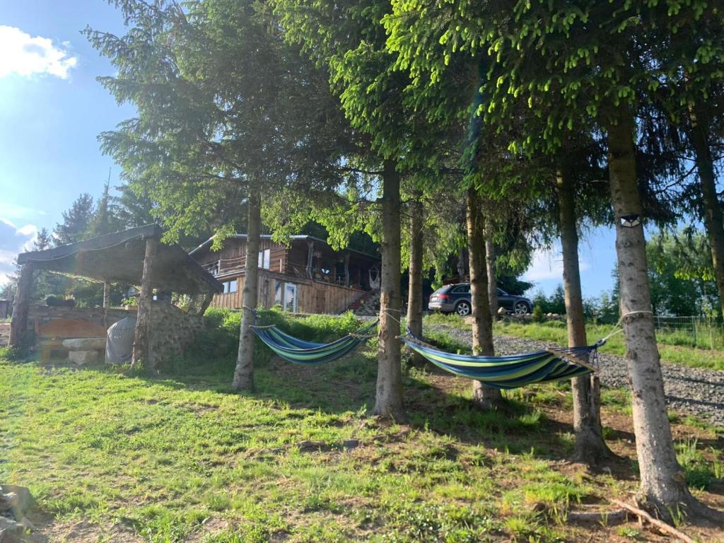 Sunset Holidays - Boska Nora photo 1