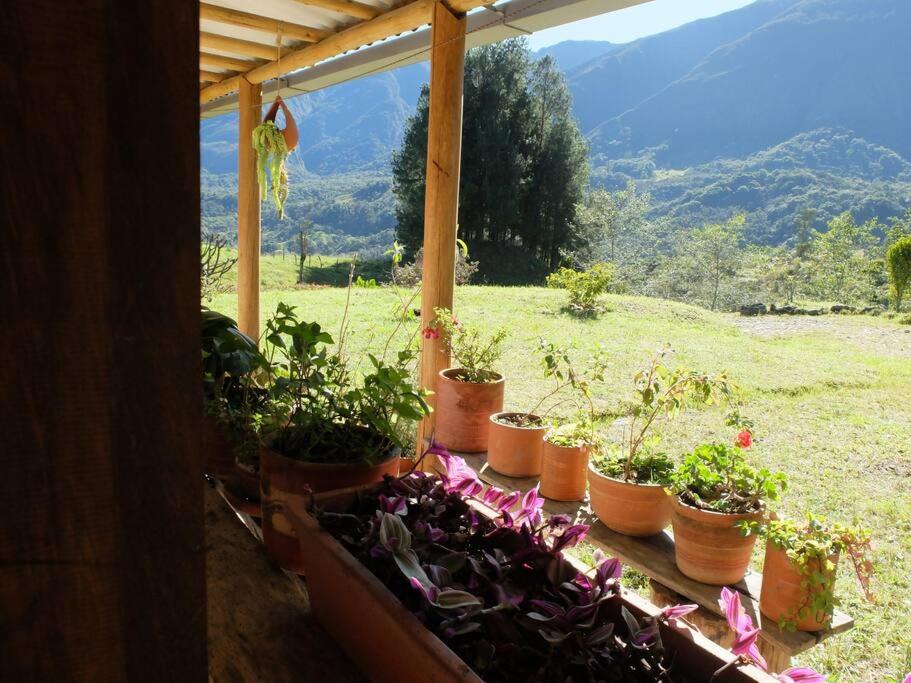 El Refugio, Escape Rural photo 3