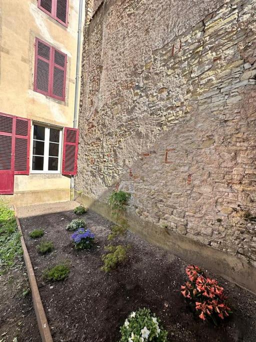 Le Jardin de Léopold photo 3