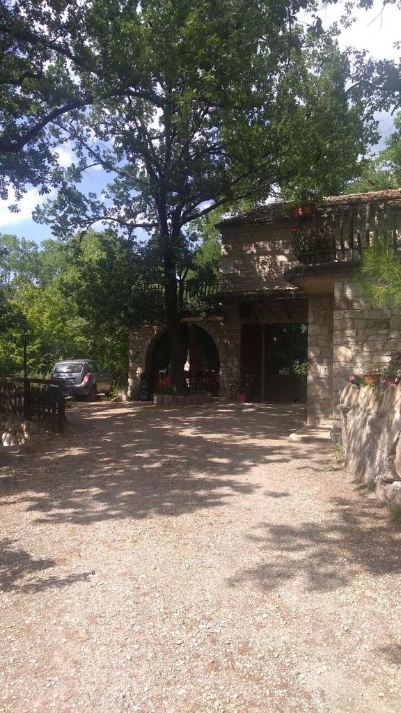 Agriturismo Giacomo Alberione photo 3