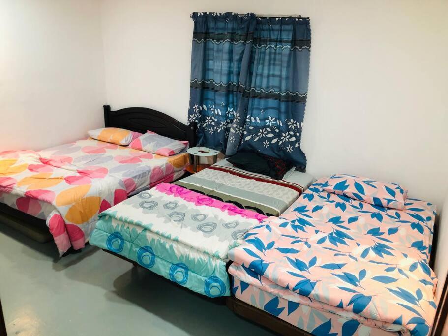The King’s Guesthouse Cameron photo 1