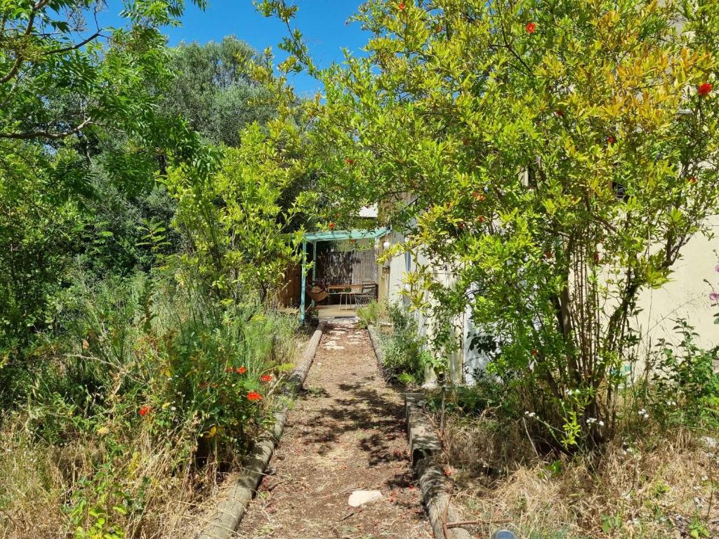 יחידת אירוח נעם photo 2