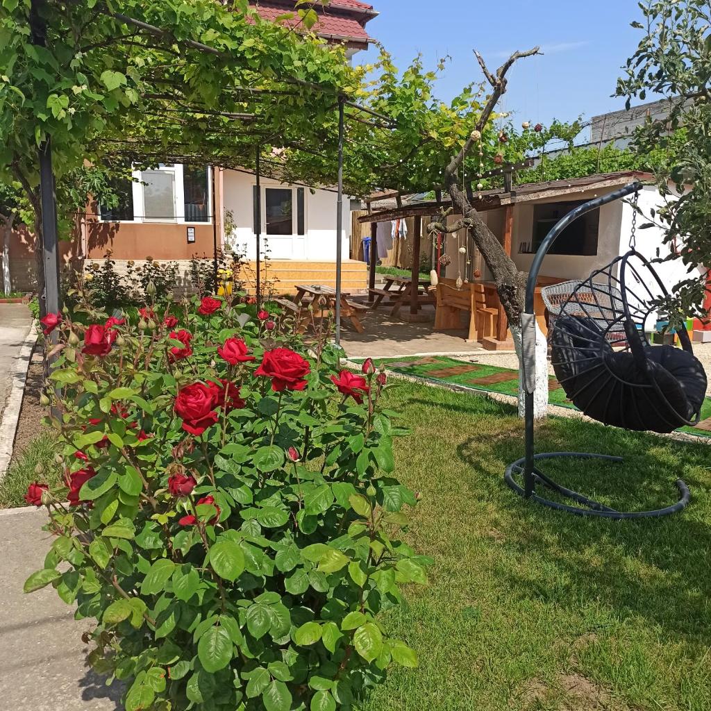 ViiLA Ș'UN SFERT photo 3