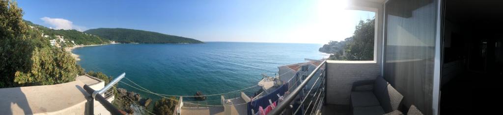 Montenegrina photo 1