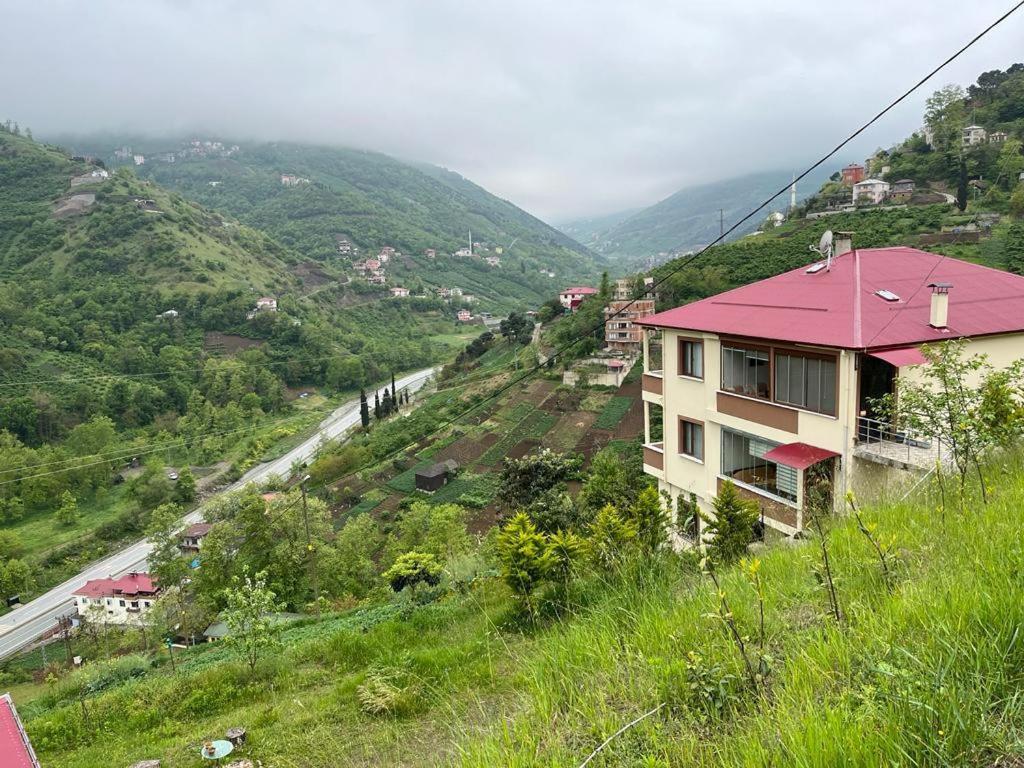 My Apartment on Green Hill