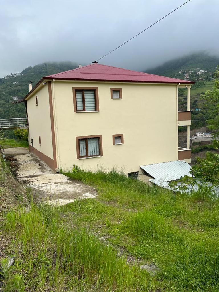 My Apartment on Green Hill photo 1