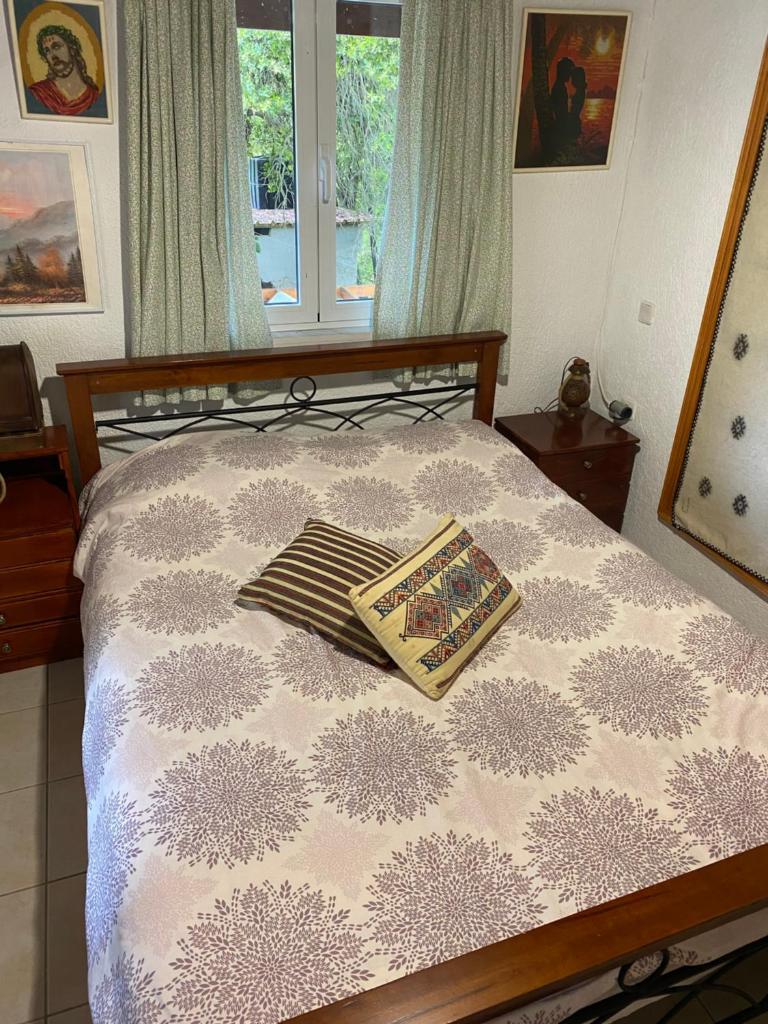 Katharo Traditional Villa photo 3