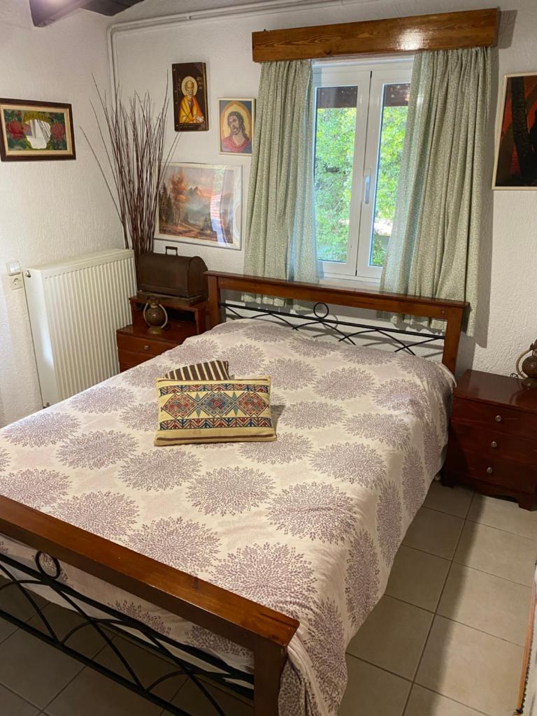 Katharo Traditional Villa photo 4