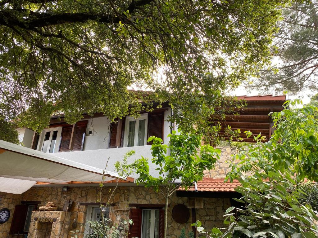 Katharo Traditional Villa photo 1