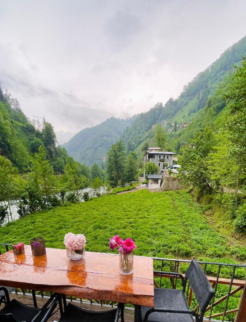 Vagona Tiny House photo 4