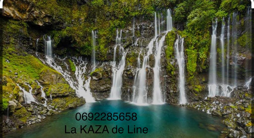 La KAZA-De-LINE photo 2