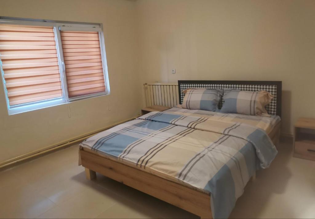 City Hostel photo 1